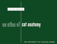 Produktbild: An Atlas of Cat Anatomy