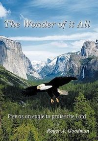 Produktbild: The Wonder of It All
