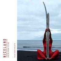 Produktbild: Niceland - tanzend durch Island reisen ... dancing around Iceland
