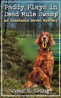 Produktbild: Paddy Plays in Dead Mule Swamp