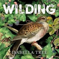 Produktbild: Wilding