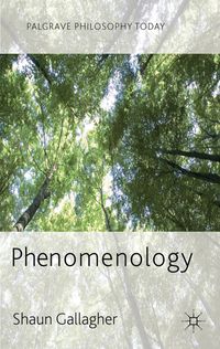 Produktbild: Phenomenology