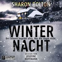 Produktbild: Winternacht