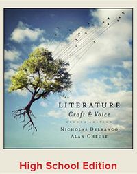 Produktbild: Literature 2/e