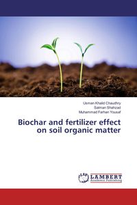 Produktbild: Biochar and fertilizer effect on soil organic matter