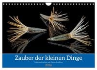 Produktbild: Zauber der kleinen Dinge (Wandkalender 2026 DIN A4 quer), CALVENDO Monatskalender