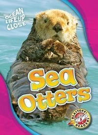 Produktbild: Sea Otters