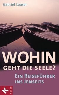 Bild vom Artikel Wohin geht die Seele? vom Autor Gabriel Looser
