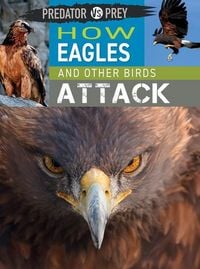 Produktbild: How Eagles and Other Birds Attack