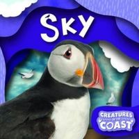 Produktbild: Sky