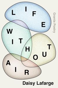 Produktbild: Life Without Air