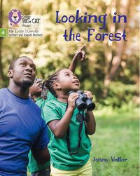 Produktbild: Looking in the Forest
