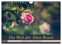 Produktbild: Die Welt der Alten Rosen (Wandkalender 2026 DIN A4 quer), CALVENDO Monatskalender