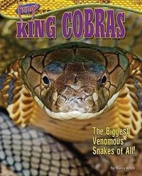 Produktbild: King Cobras: The Biggest Venomous Snakes of All!