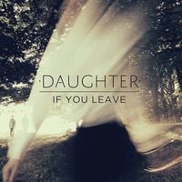 Produktbild: If You Leave