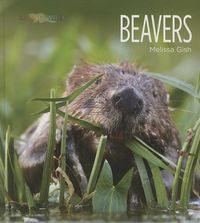 Produktbild: Beavers