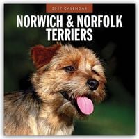 Produktbild: Norwich Terrier und Norfolk Terrier 2027 &ndash; 16-Monatskalender