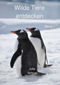 Produktbild: Wilde Tiere entdecken