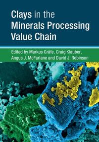 Produktbild: Clays in the Minerals Processing Value Chain