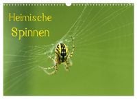 Produktbild: Heimische Spinnen (Wandkalender 2027 DIN A3 quer), CALVENDO Monatskalender