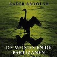 Produktbild: De meisjes en de partizanen