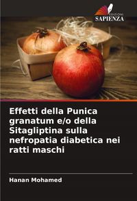 Produktbild: Effetti della Punica granatum e/o della Sitagliptina sulla nefropatia diabetica nei ratti maschi