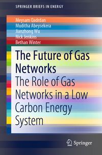 Produktbild: The Future of Gas Networks