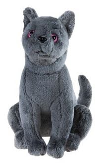 Produktbild Schule der magischen Tiere Kater Karajan GRS klein