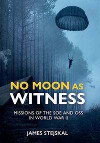 Produktbild: No Moon as Witness