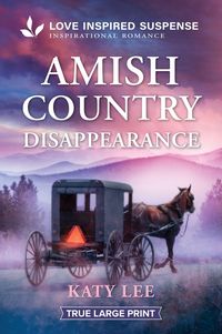 Produktbild: Amish Country Disappearance