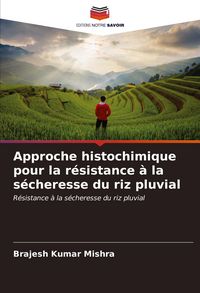 Produktbild: Approche histochimique pour la r&eacute;sistance &agrave; la s&eacute;cheresse du riz pluvial