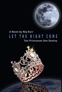 Bild vom Artikel Let The Night Come vom Autor Niq Durr