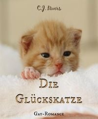 Produktbild: Die Gl&uuml;ckskatze
