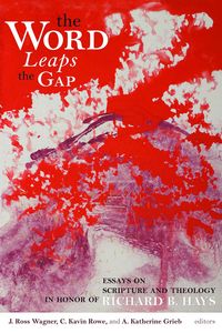 Produktbild: The Word Leaps the Gap