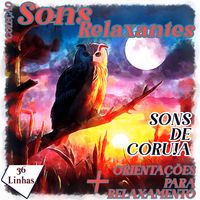 Produktbild: Cole&ccedil;&atilde;o Sons Relaxantes - sons de coruja