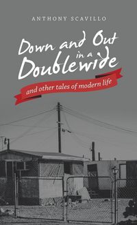 Produktbild: Down and out in a Doublewide and Other Tales of Modern Life