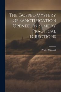 Produktbild: The Gospel-mystery Of Sanctification Opened, In Sundry Practical Directions