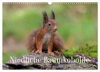 Produktbild: Niedliche Baumkobolde (Wandkalender 2027 DIN A3 quer), CALVENDO Monatskalender