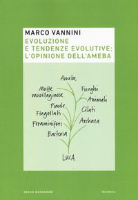 Produktbild: Evoluzione e tendenze evolutive: l'opinione dell'ameba