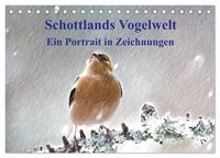 Produktbild: Schottlands Vogelwelt - Ein Portr&auml;t in Zeichnungen (Tischkalender 2027 DIN A5 quer), CALVENDO Monatskalender