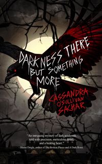 Produktbild: Darkness There But Something More