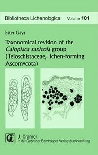Produktbild: Taxonomical revision of the Caloplaca saxicola group (Teloschistaceae, lichen-forming Ascomycota)