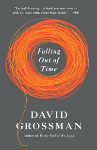 Bild vom Artikel Falling Out of Time vom Autor David Grossman