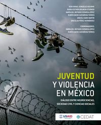 Produktbild: Juventud y violencia en M&eacute;xico