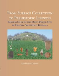 Produktbild: From Surface Collection to Prehistoric Lifeways