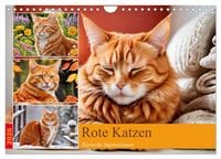 Produktbild: Rote Katzen (Wandkalender 2026 DIN A4 quer), CALVENDO Monatskalender