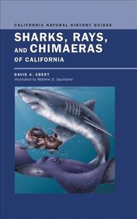 Produktbild: Sharks, Rays, and Chimaeras of California