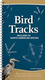 Produktbild: Bird Tracks