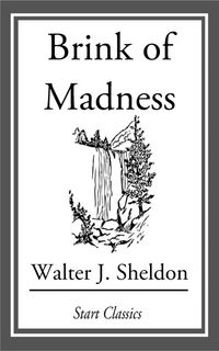 Produktbild: Brink of Madness