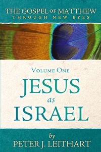 Produktbild: The Gospel of Matthew Through New Eyes Volume One